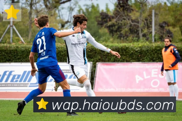 开云kaiyun网页版APP 高清赛事图