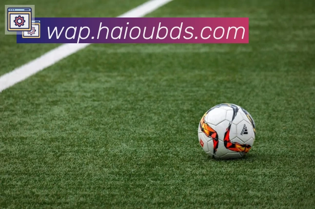 开云kaiyun网页版荣誉